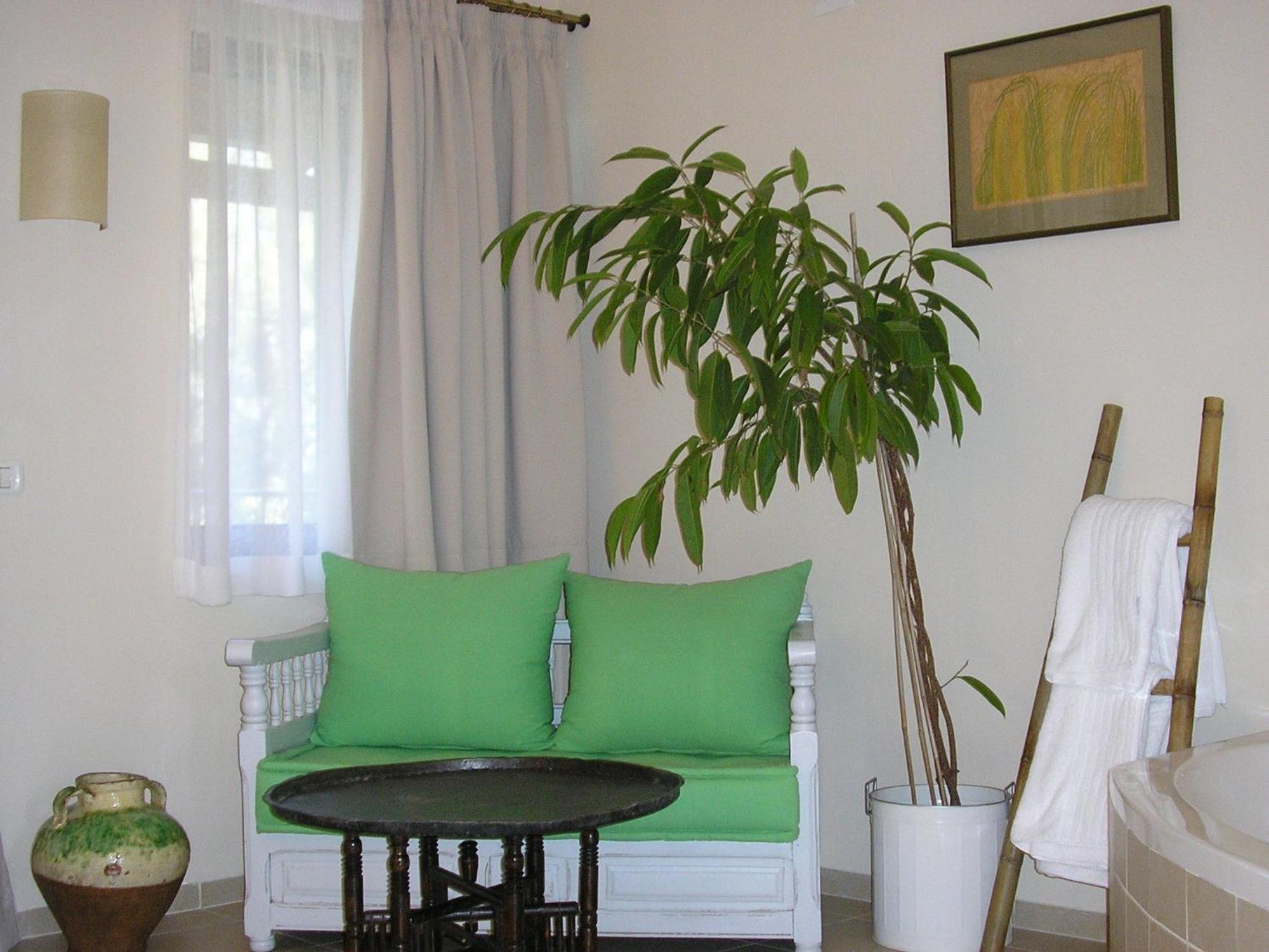 Hotel Shulamit Yard à Rosh Pina Extérieur photo