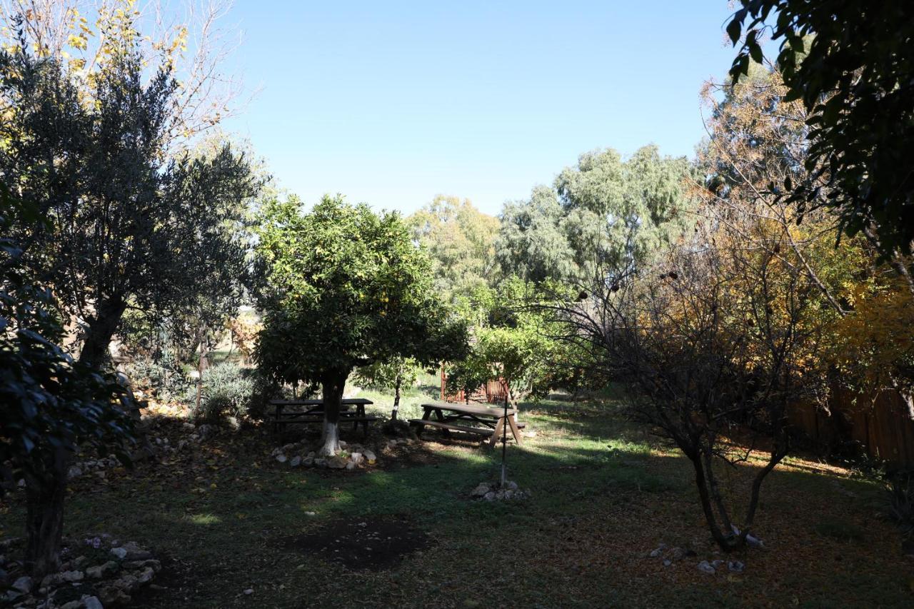 Hotel Shulamit Yard à Rosh Pina Extérieur photo